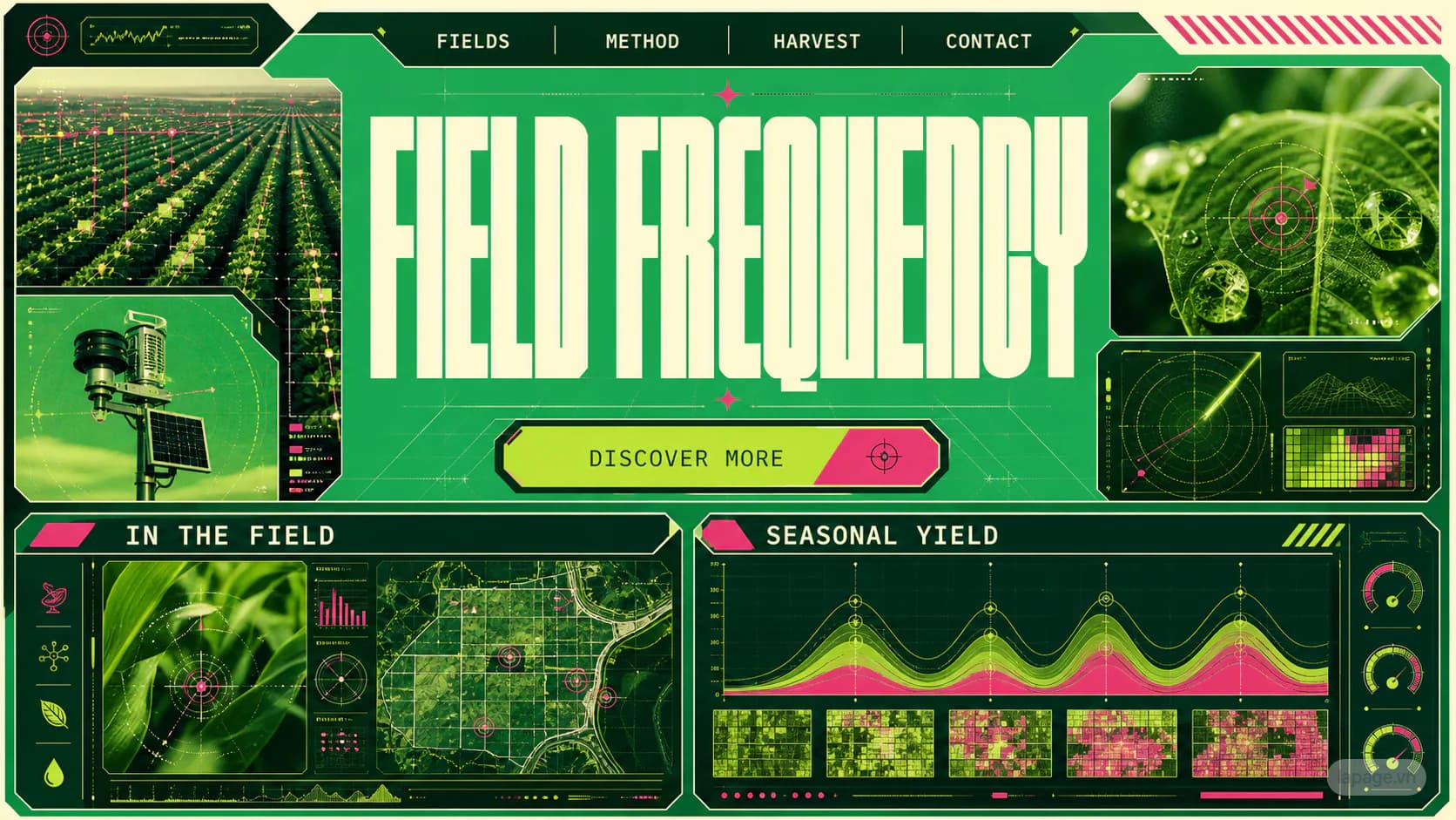 Bản xem trước đầy đủ định hướng website Field Frequency