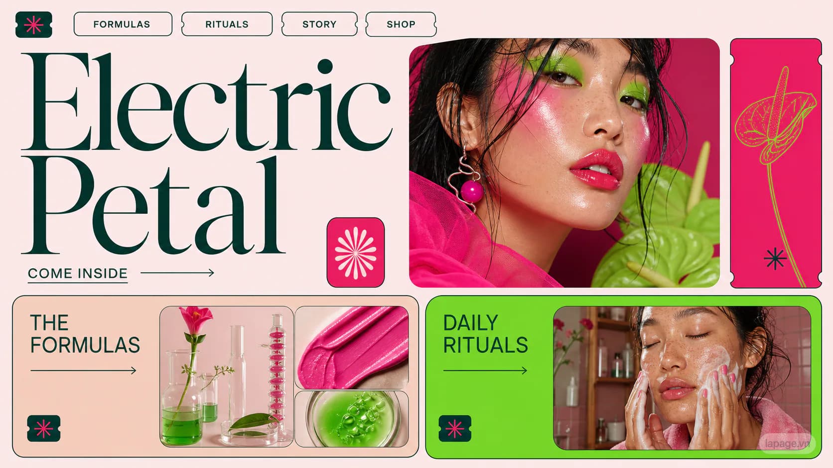 Preview of the related Electric Petal website direction