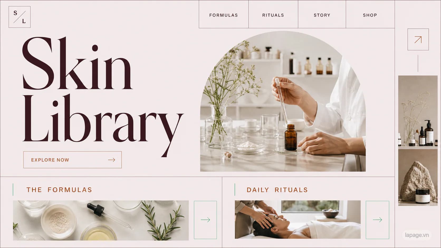 Preview of the related Skin Library website direction