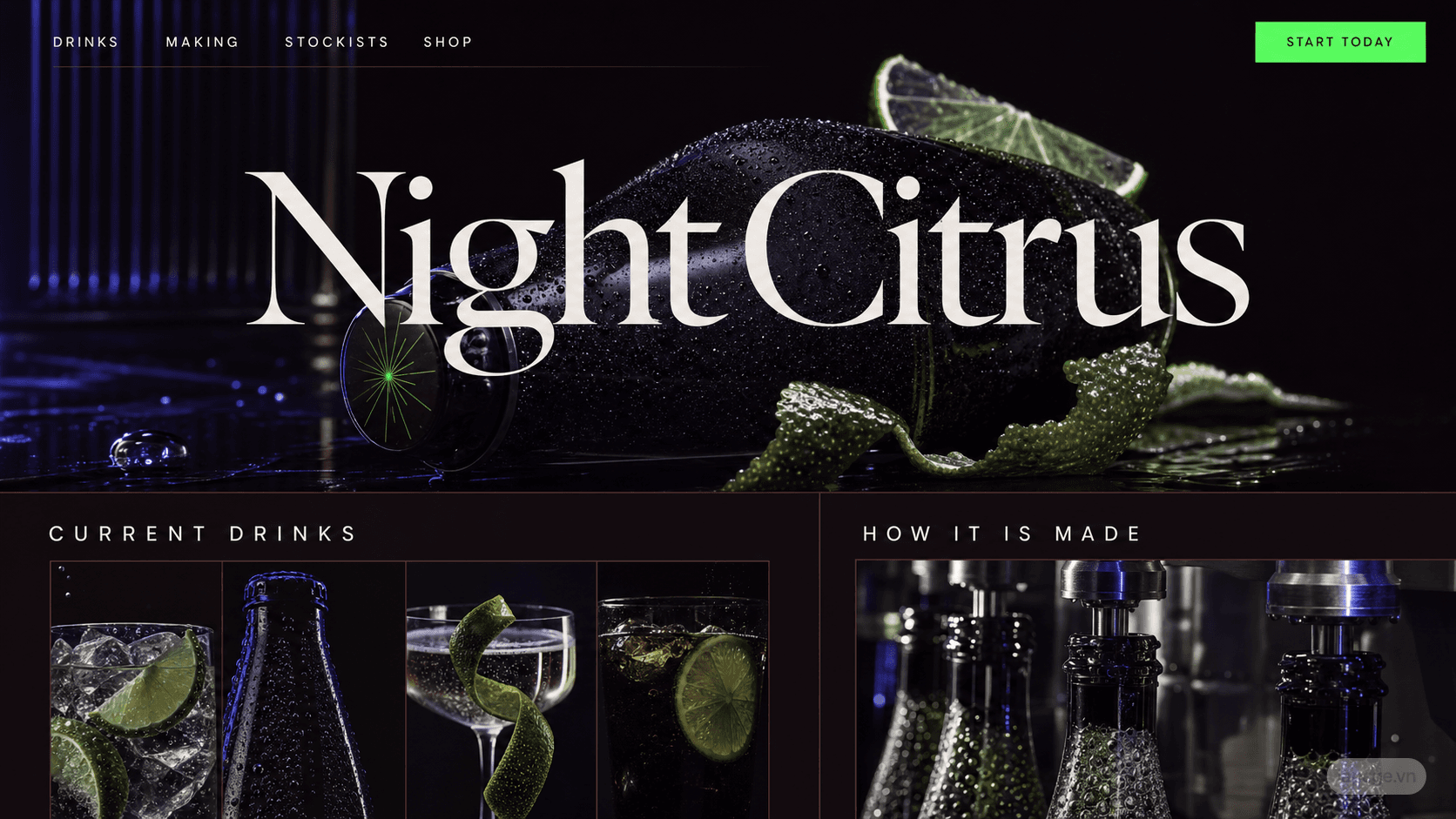 Preview of the related Night Citrus website direction