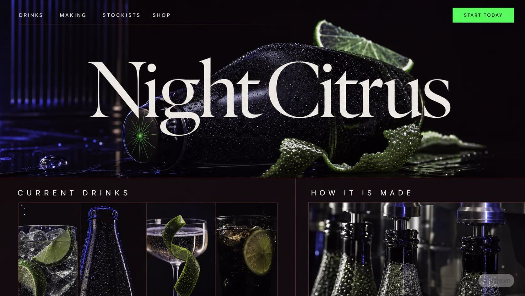 Preview of the related Night Citrus website direction