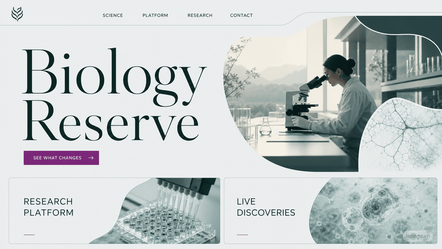 Preview of the related Biology Reserve website direction