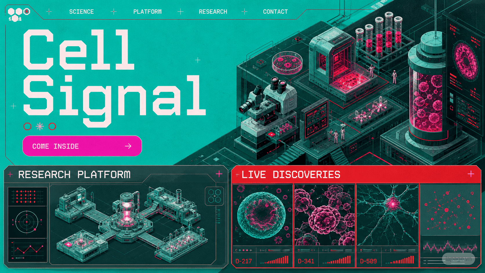 Preview of the related Cell Signal website direction
