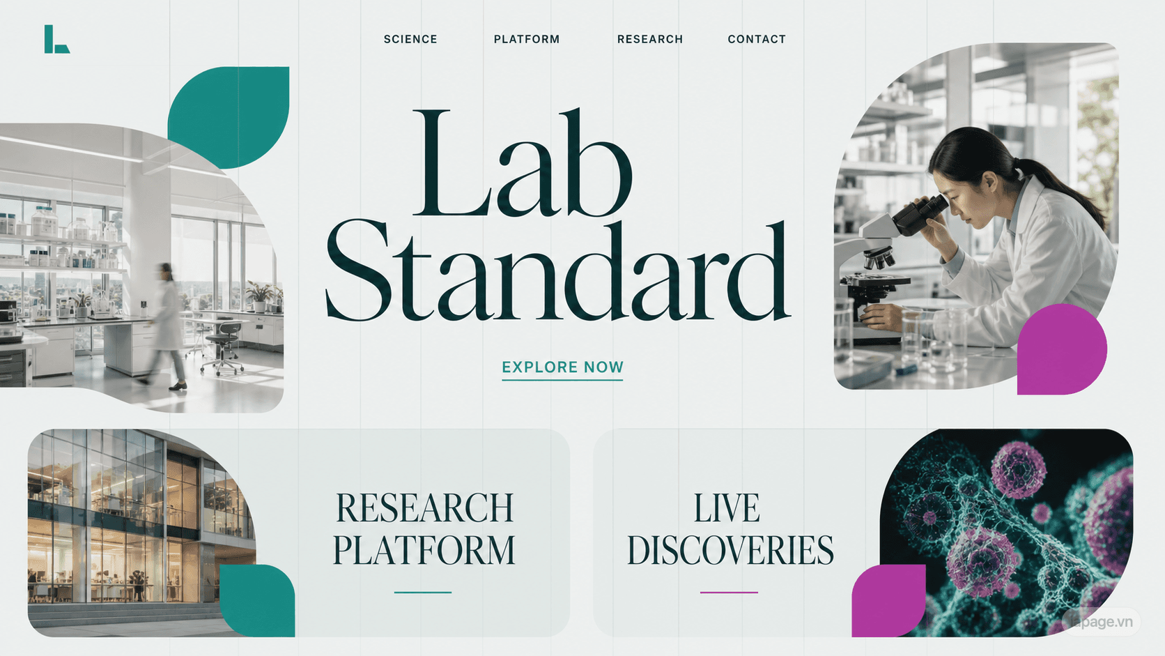 Full preview of the Lab Standard website direction