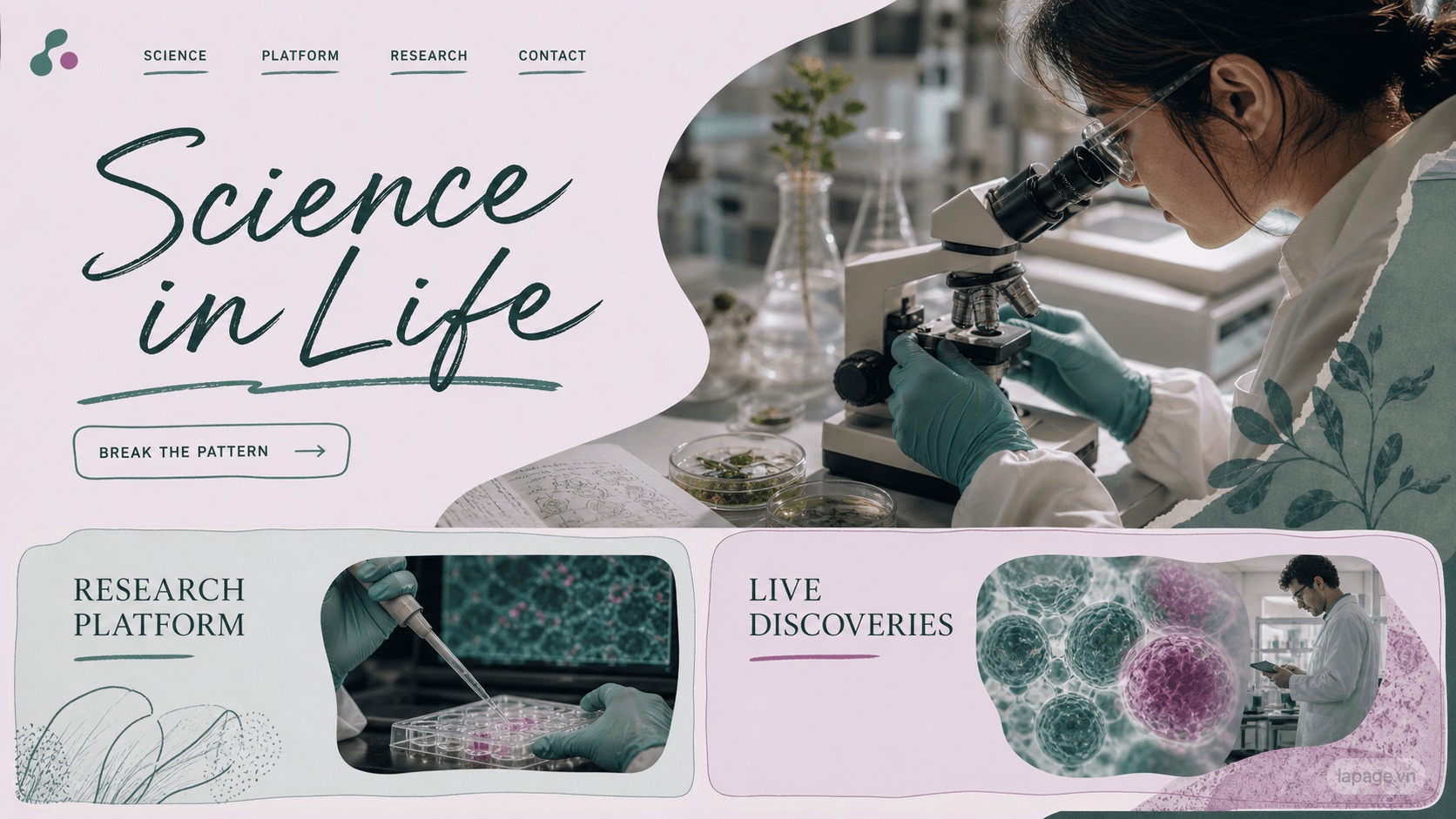 Preview of the related Science in Life website direction