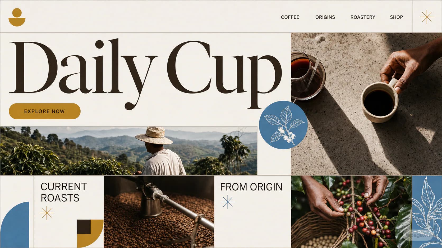 Preview of the related Daily Cup website direction