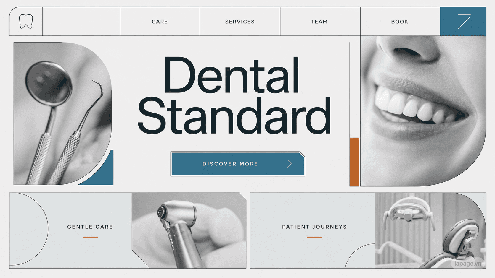 Preview of the related Dental Standard website direction