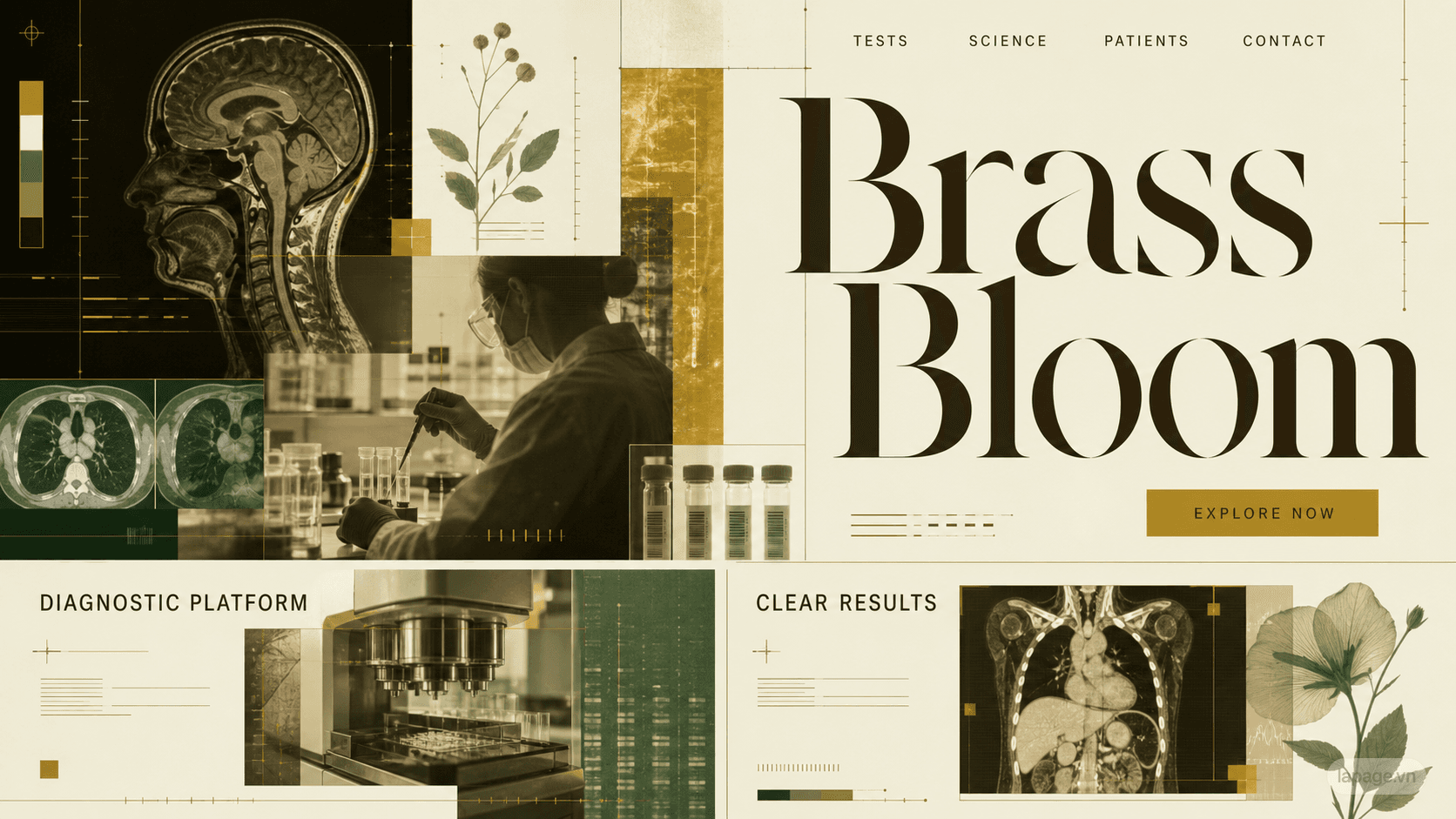 Preview of the related Brass Bloom website direction