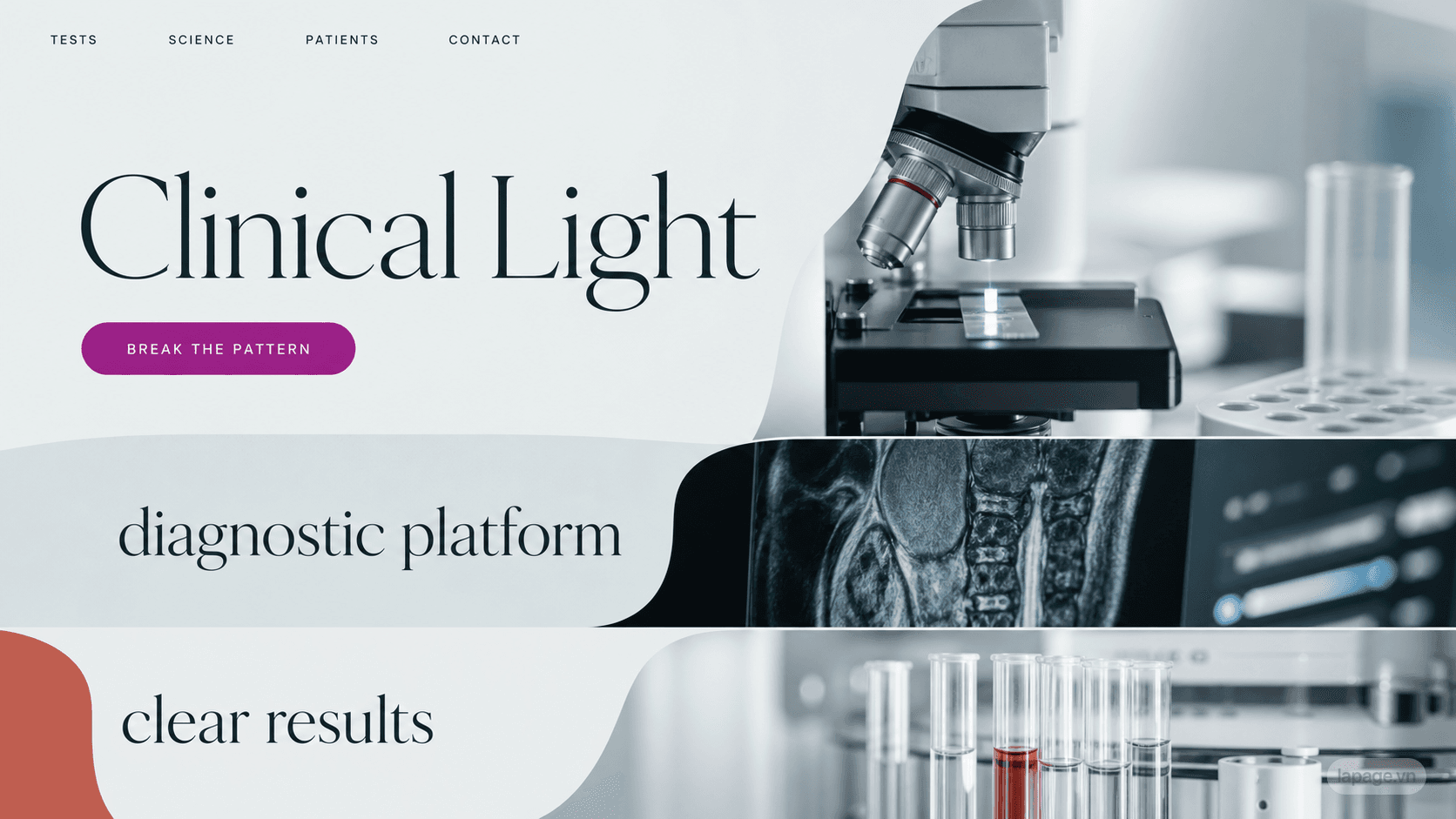 Preview of the related Clinical Light website direction