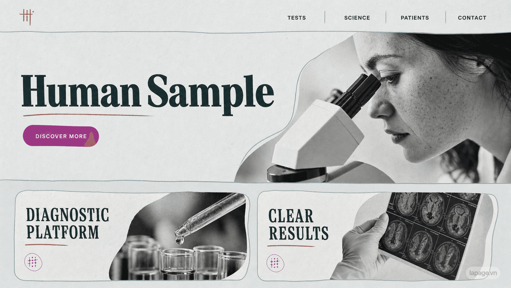 Full preview of the Human Sample website direction