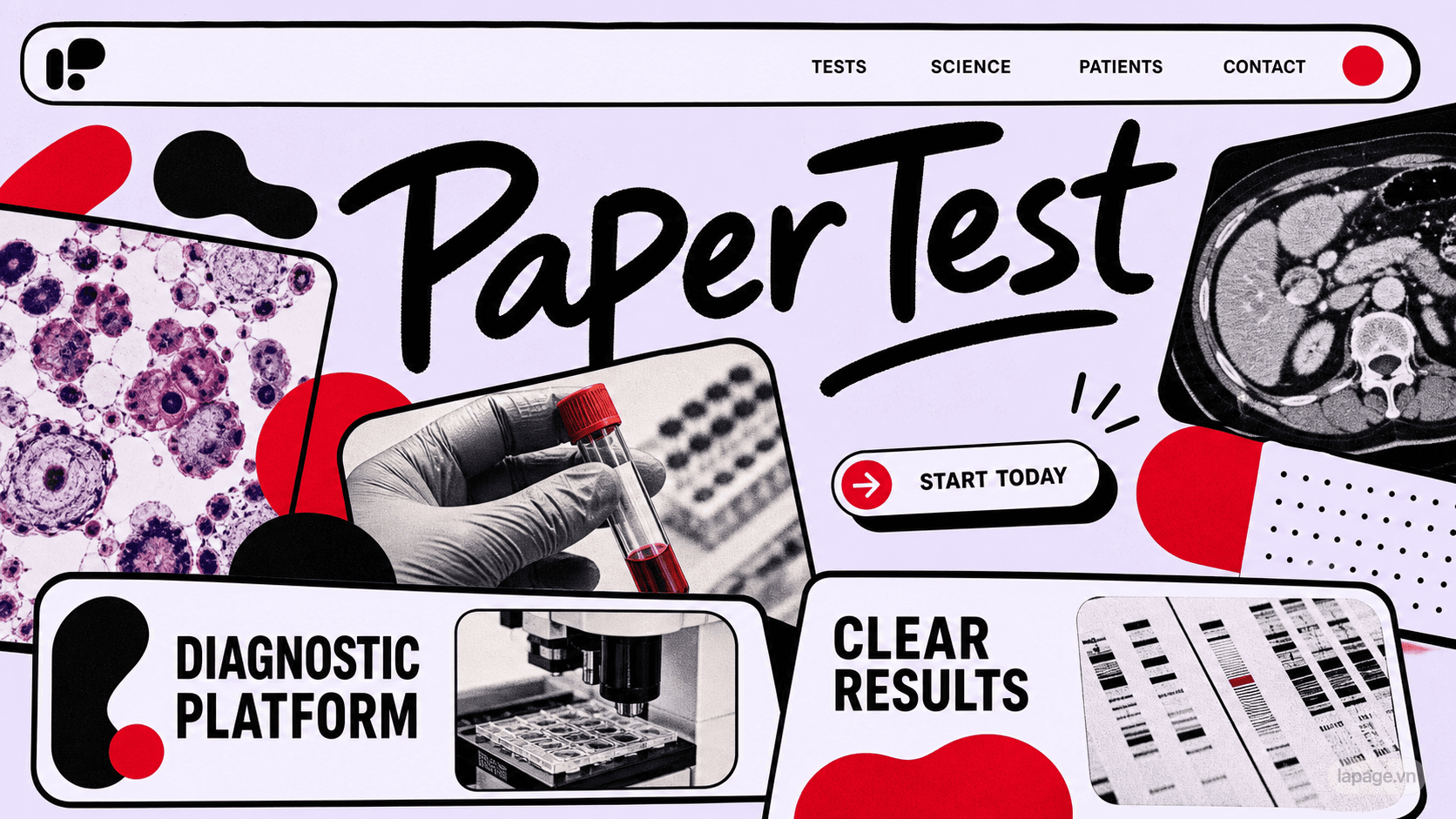 Preview of the related Paper Test website direction