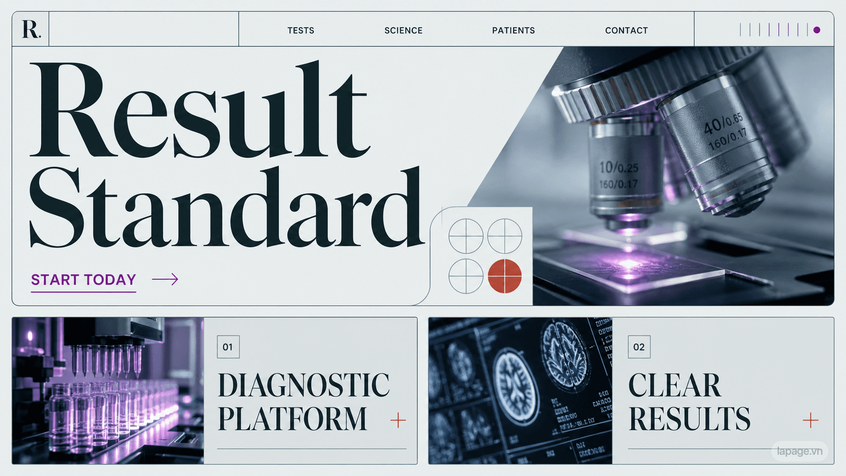 Full preview of the Result Standard website direction