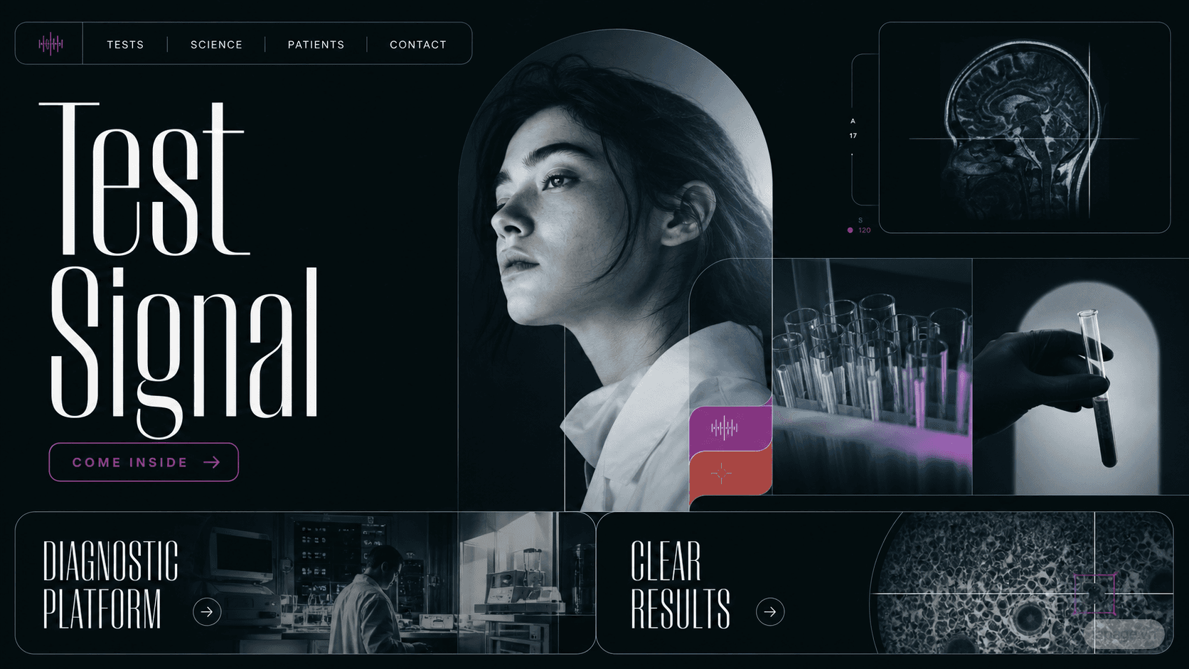 Preview of the related Test Signal website direction
