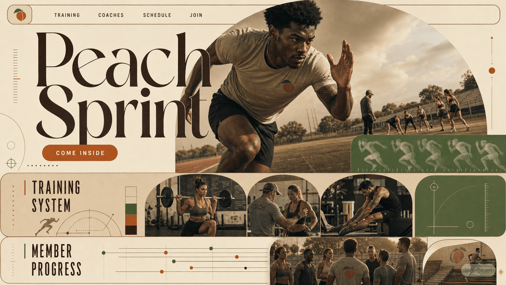 Preview of the related Peach Sprint website direction