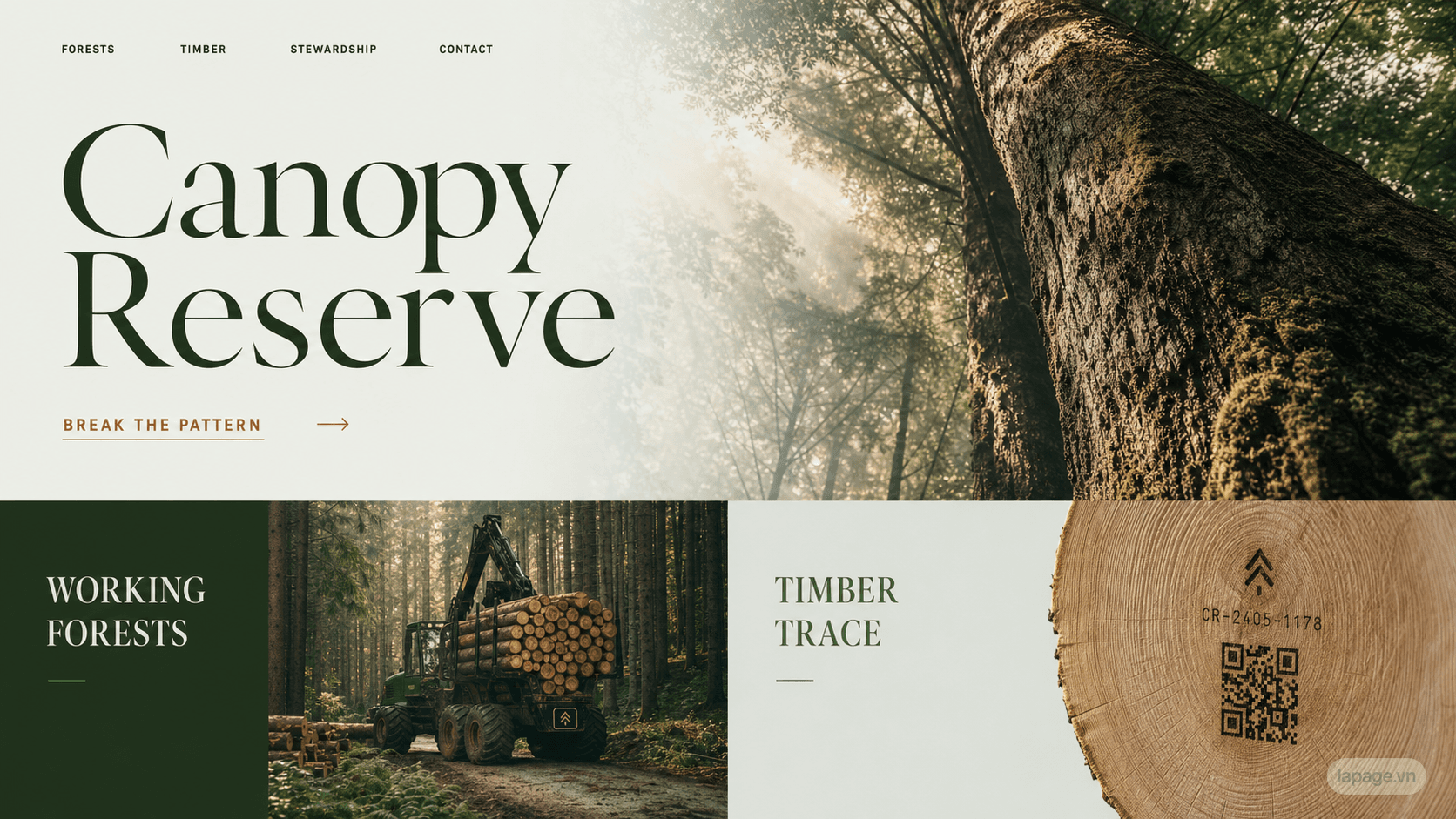 Preview of the related Canopy Reserve website direction