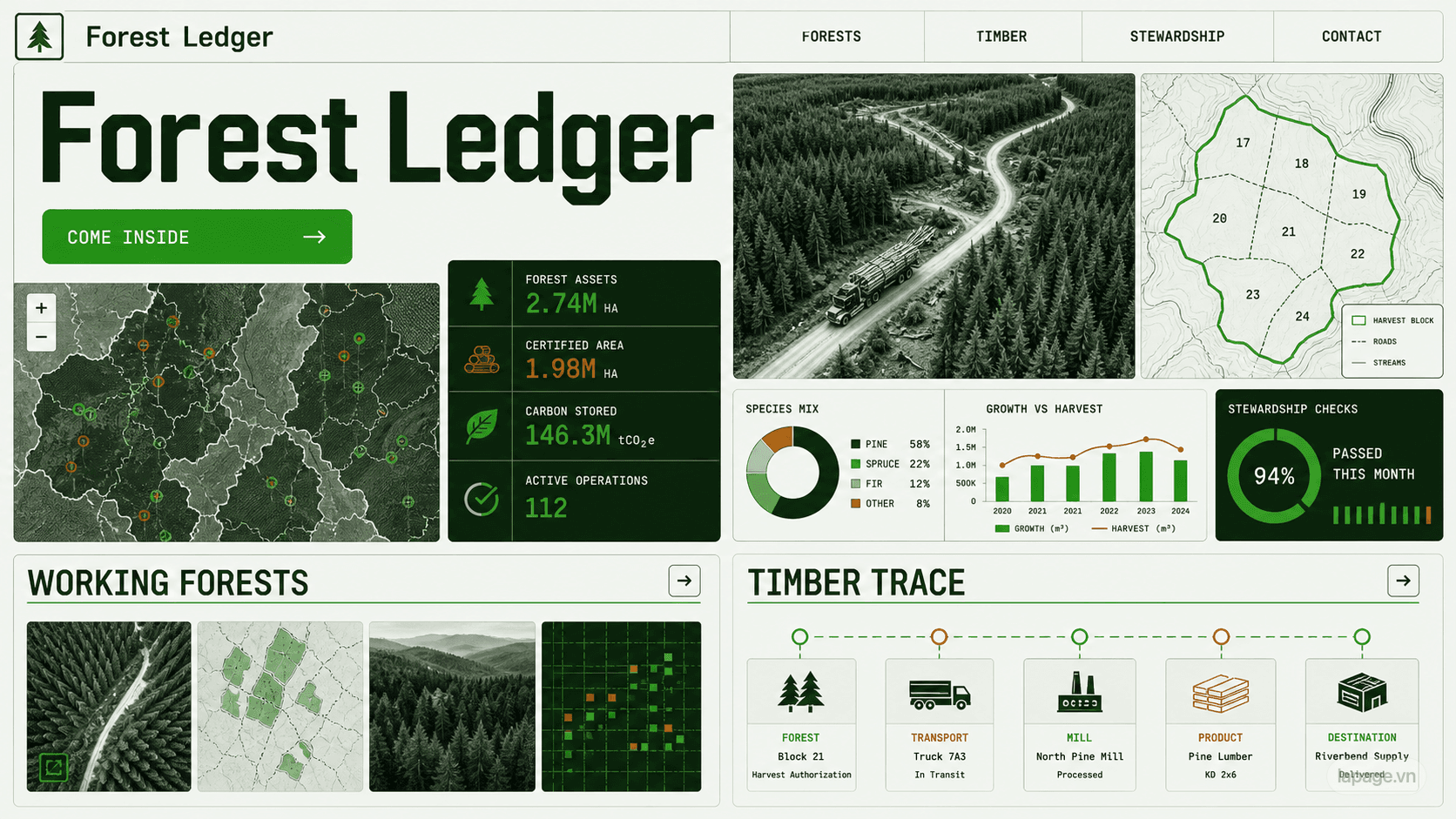 Full preview of the Forest Ledger website direction