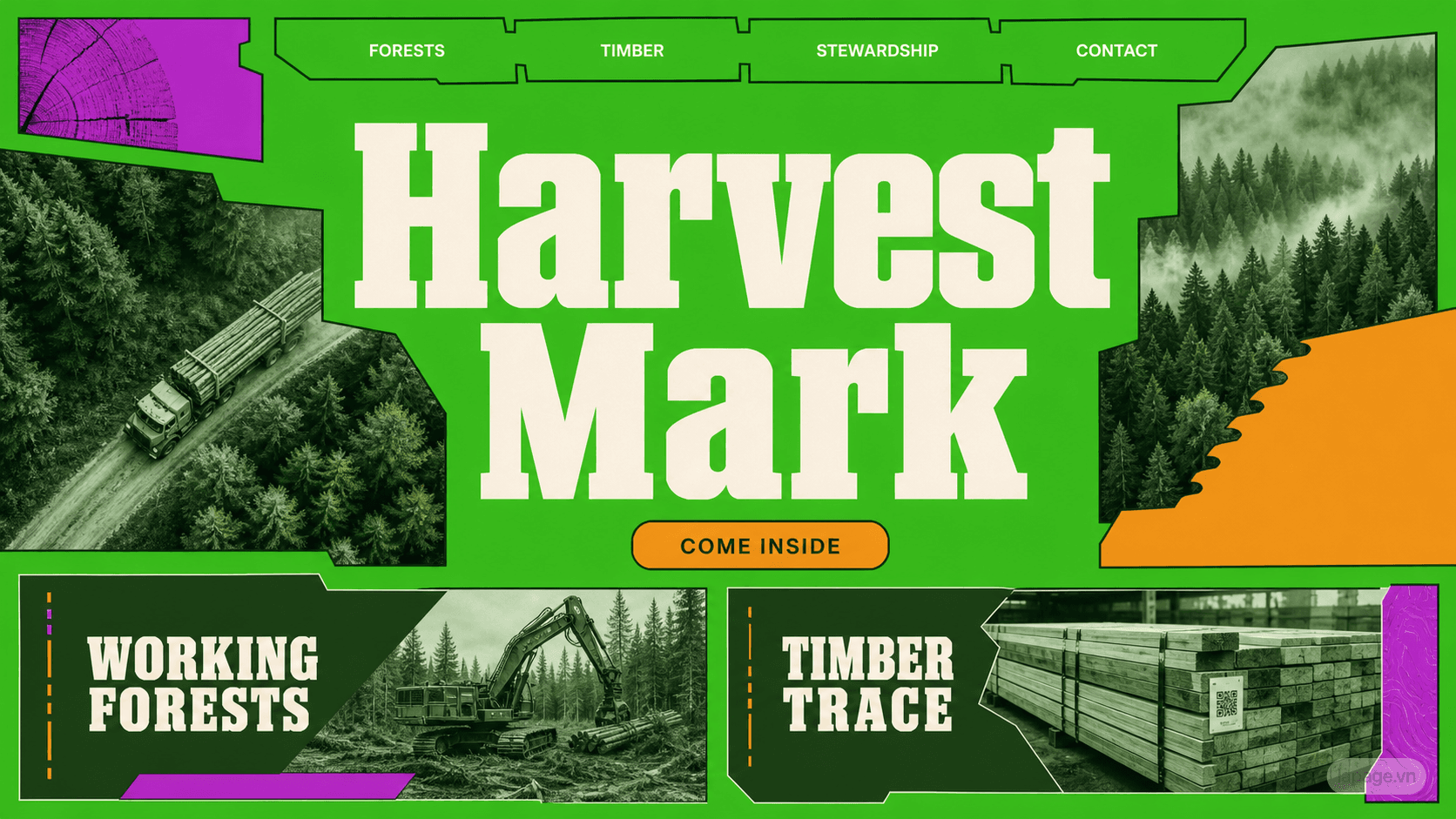 Preview of the related Harvest Mark website direction