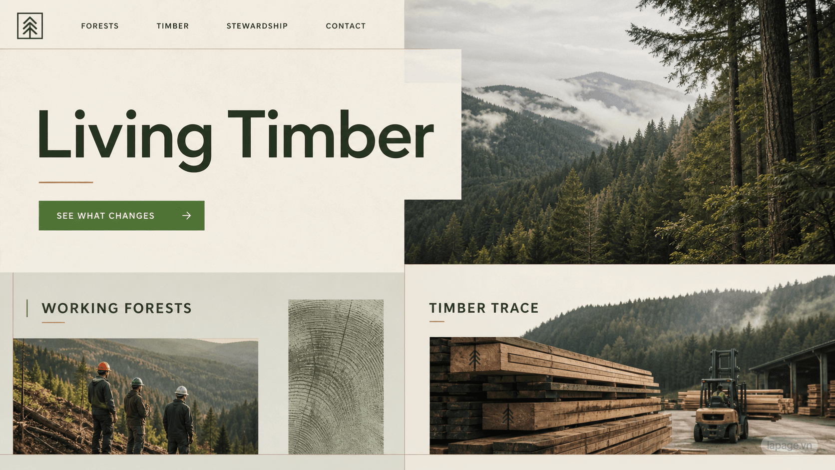 Preview of the related Living Timber website direction