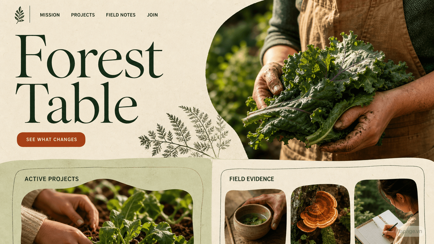 Full preview of the Forest Table website direction