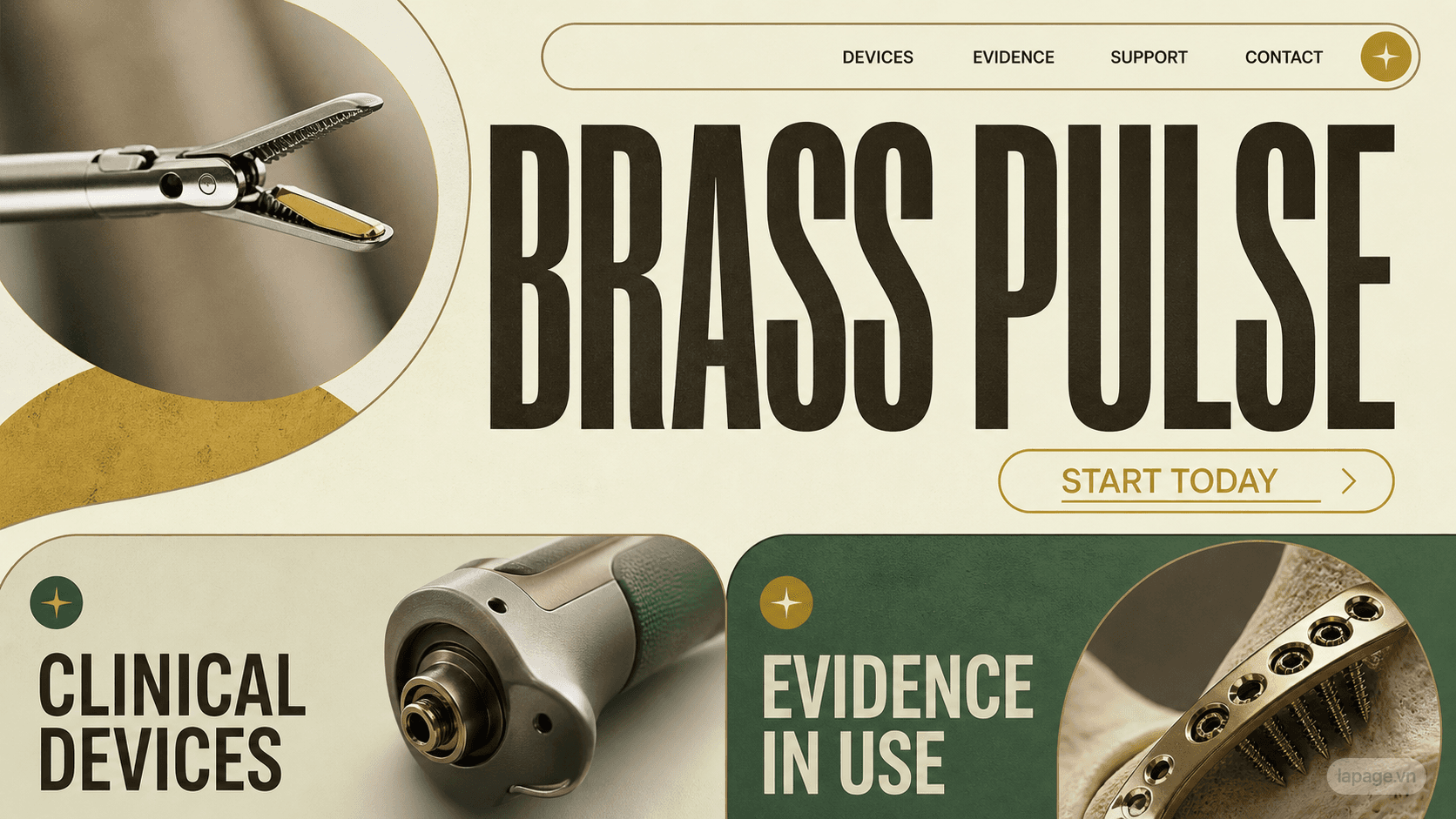 Preview of the related Brass Pulse website direction