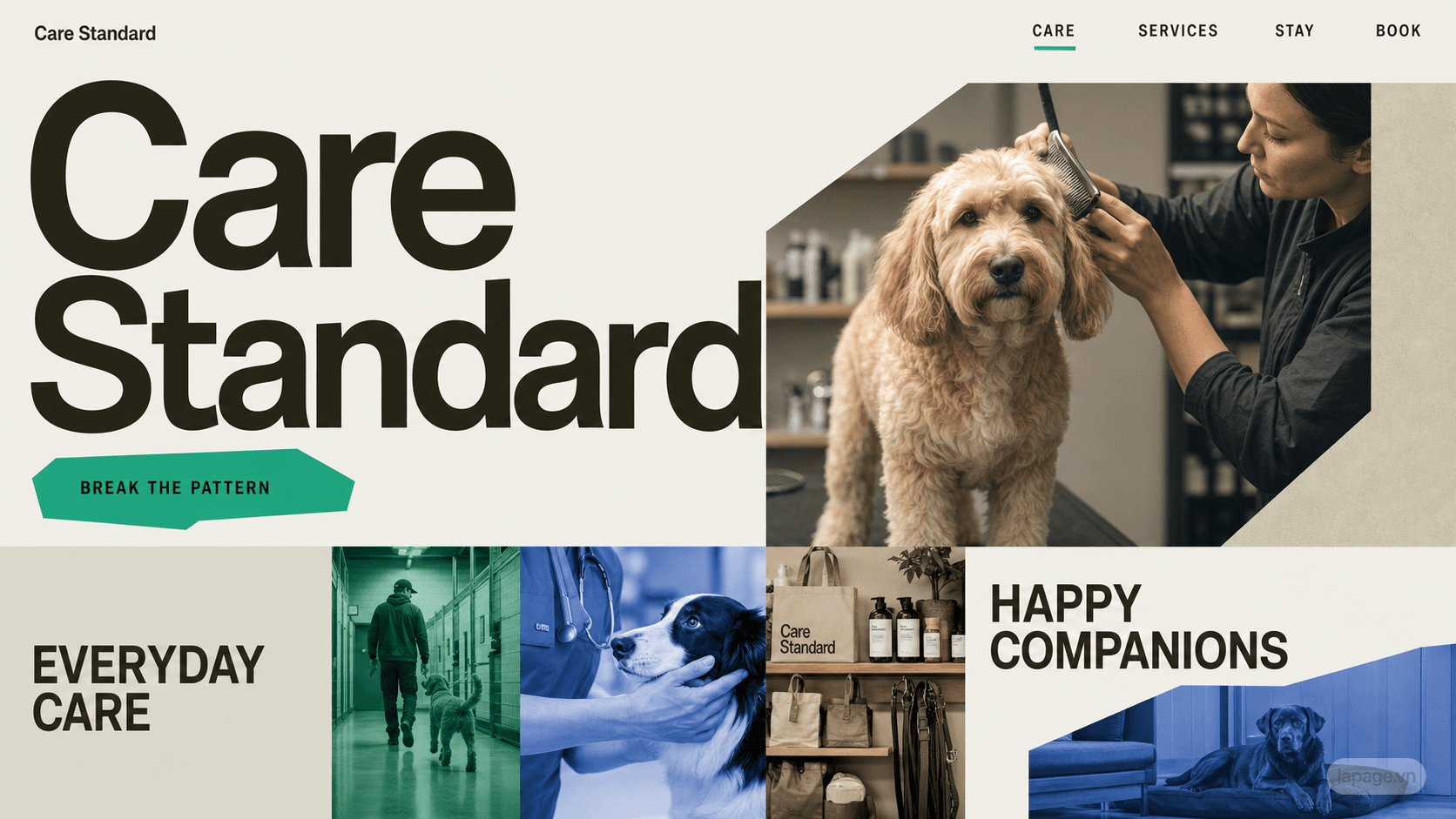 Bản xem trước định hướng website liên quan Care Standard