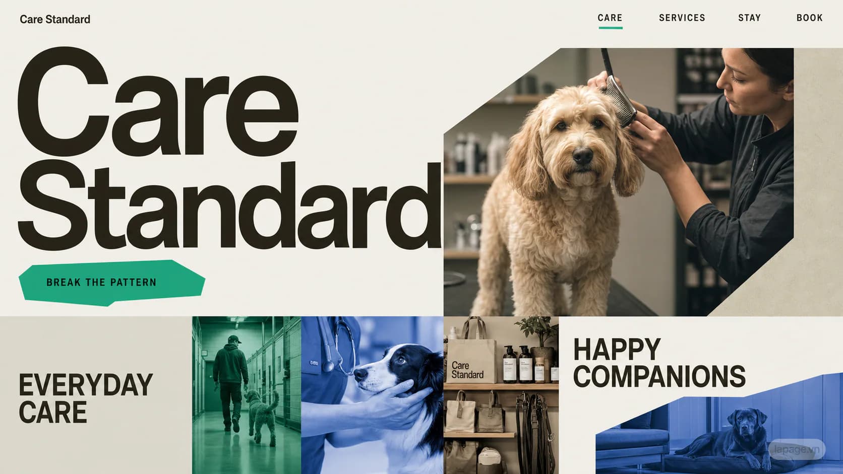 Bản xem trước định hướng website liên quan Care Standard