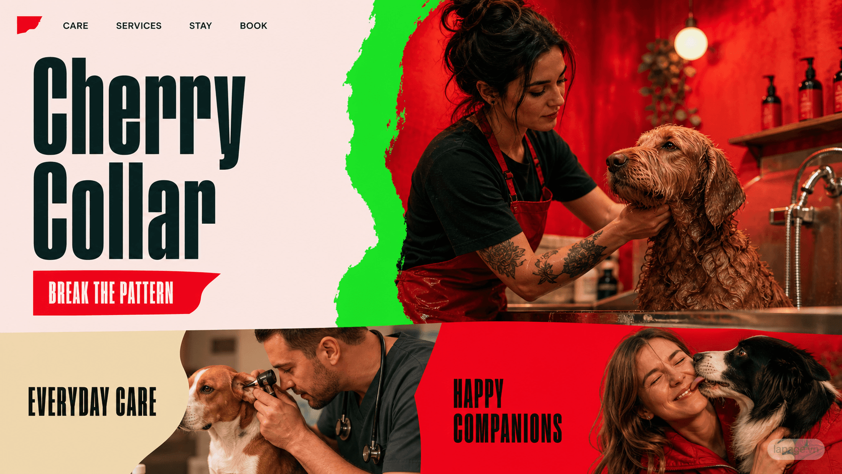 Full preview of the Cherry Collar website direction