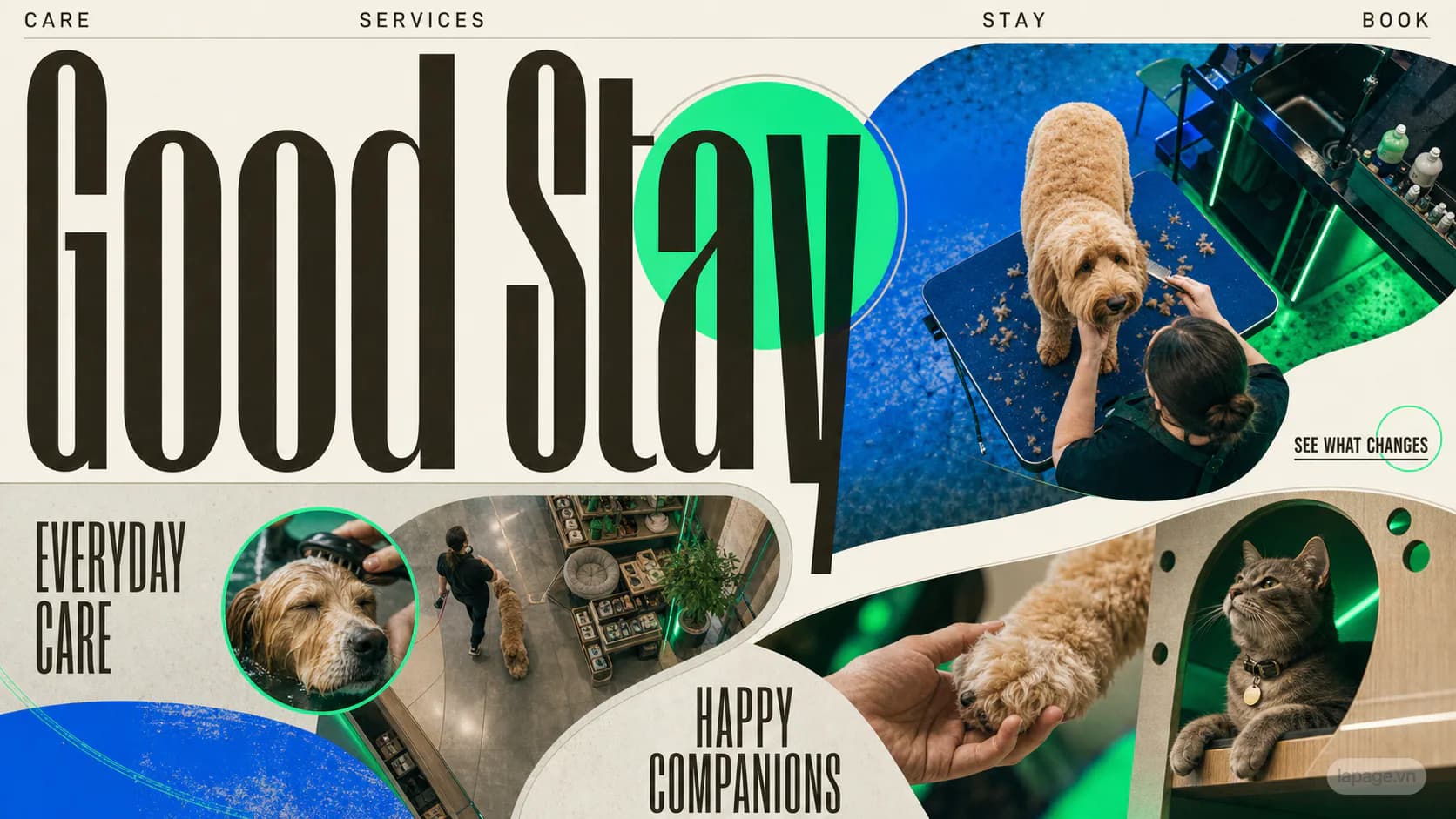 Bản xem trước định hướng website liên quan Good Stay