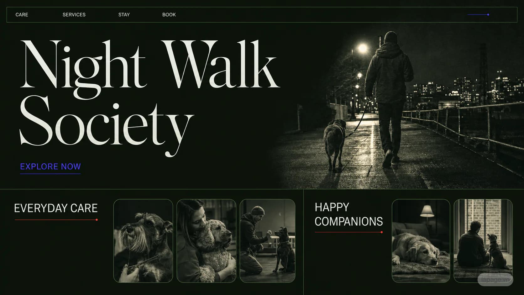 Bản xem trước định hướng website liên quan Night Walk Society