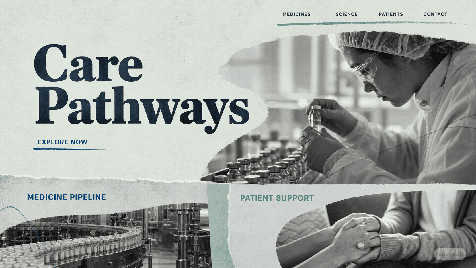 Preview of the related Care Pathways website direction