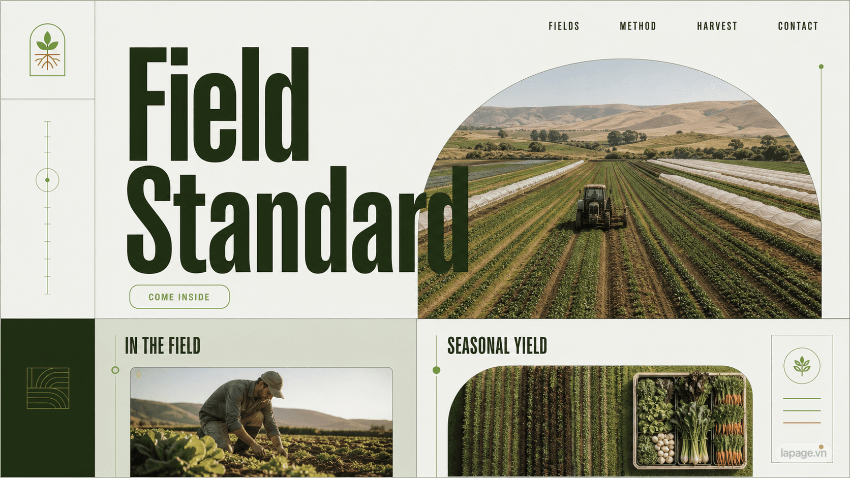 Bản xem trước định hướng website liên quan Field Standard