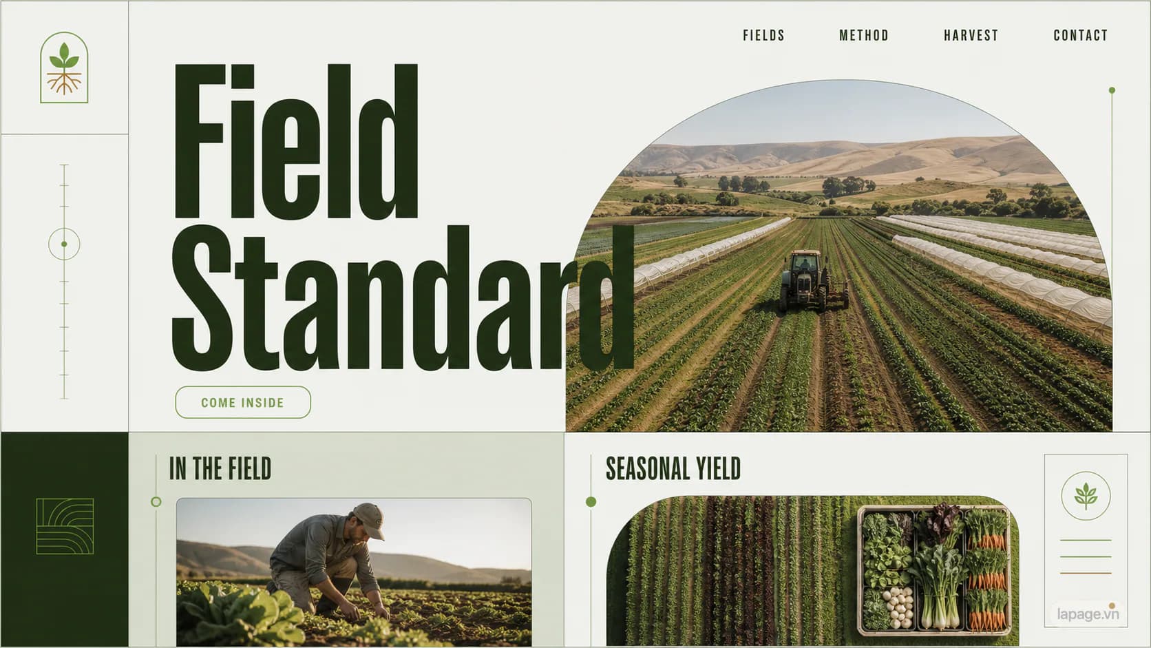 Bản xem trước định hướng website liên quan Field Standard