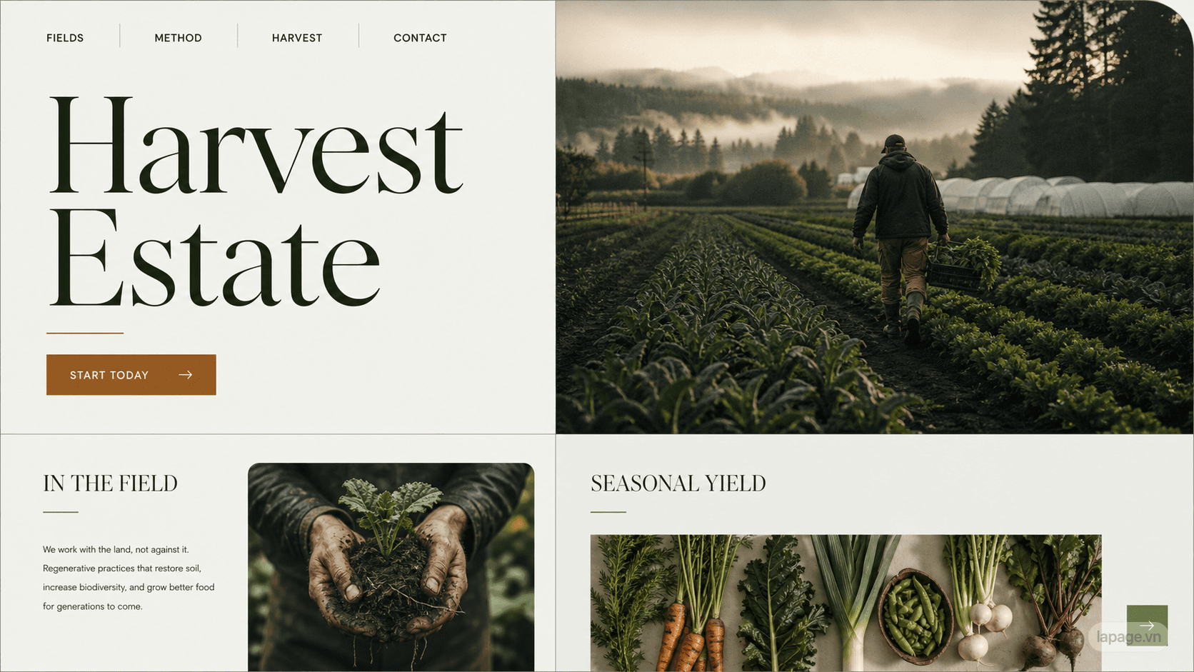 Preview of the related Harvest Estate website direction