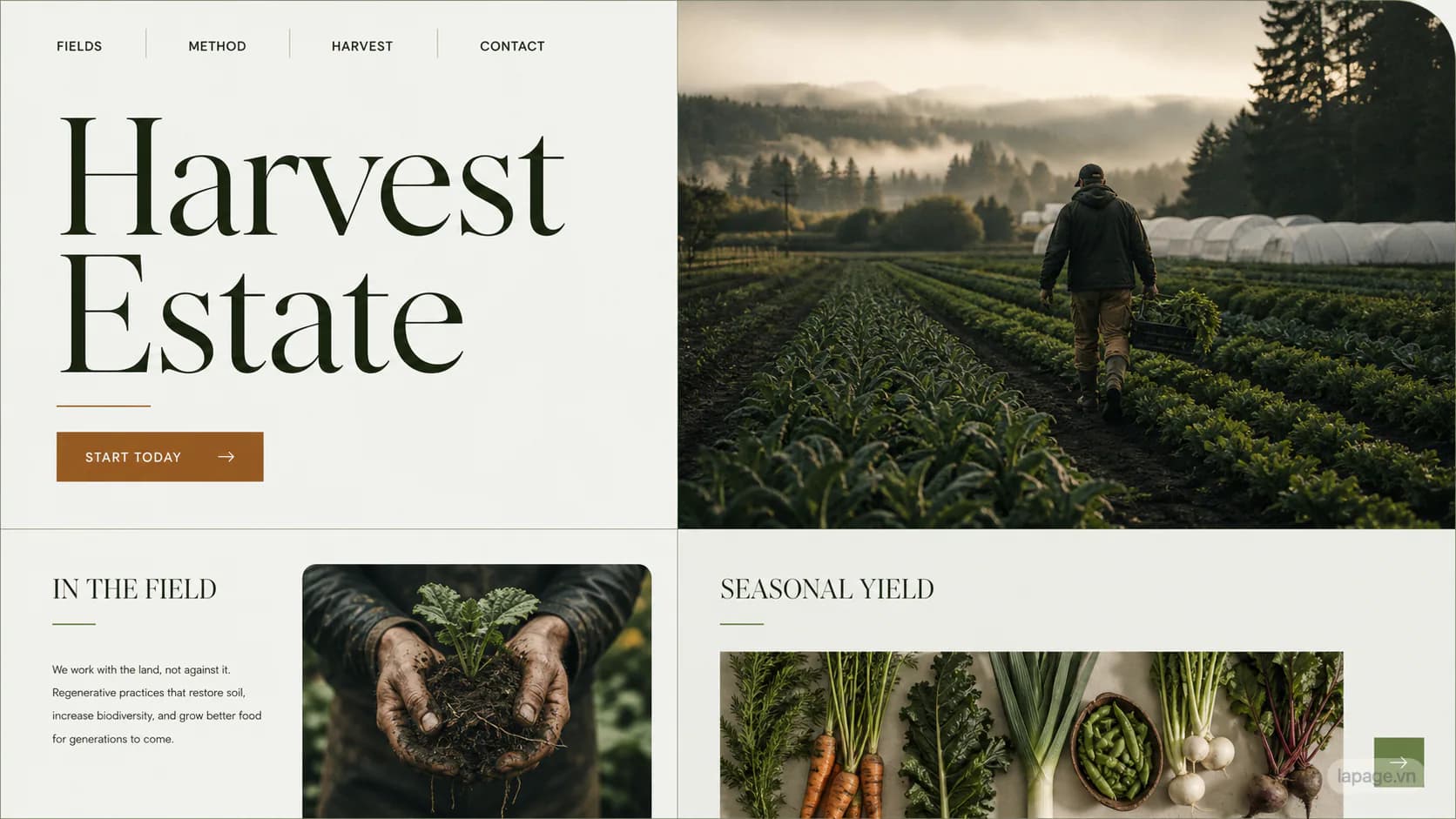 Bản xem trước định hướng website liên quan Harvest Estate