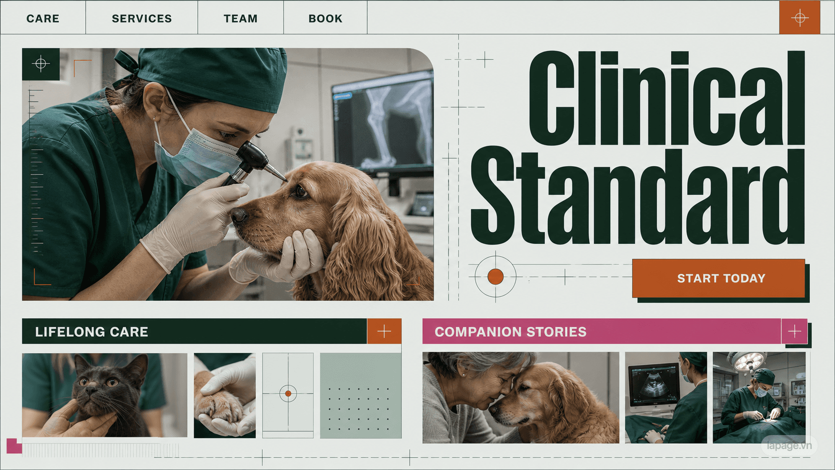 Preview of the related Clinical Standard website direction