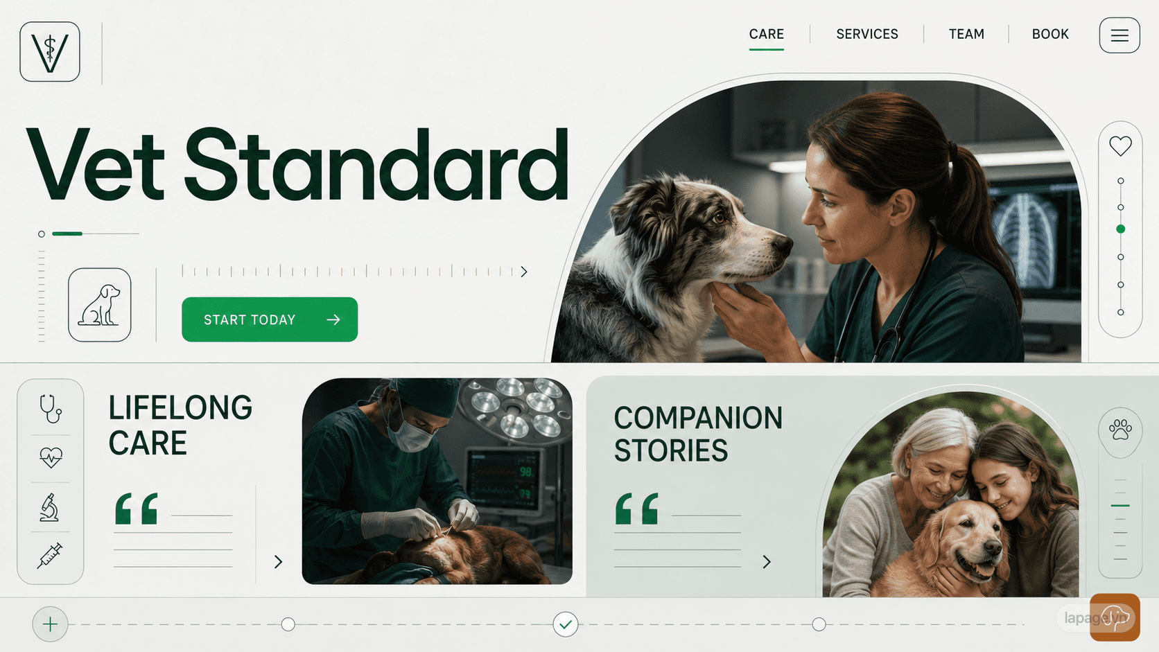 Full preview of the Vet Standard website direction