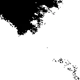 Carbon Dividend Ink Dropout