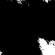Carbon Dividend Paint Dropout