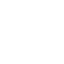 Common Balance Ink Dropout