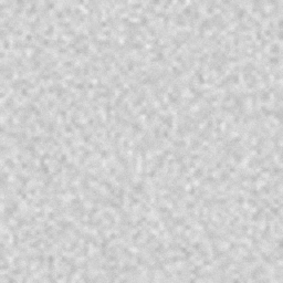Common Balance Paint Grain