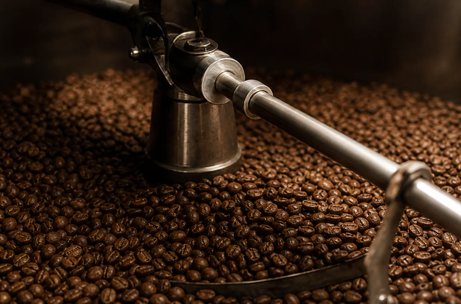 Daily Cup roaster bed