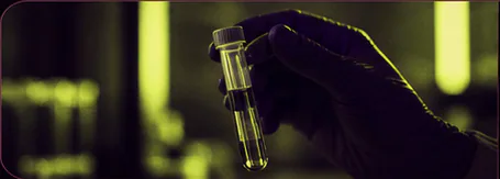 Night Glass Lab Sample