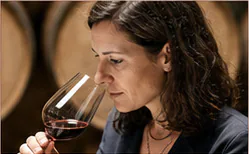 Kitewell wine country detail