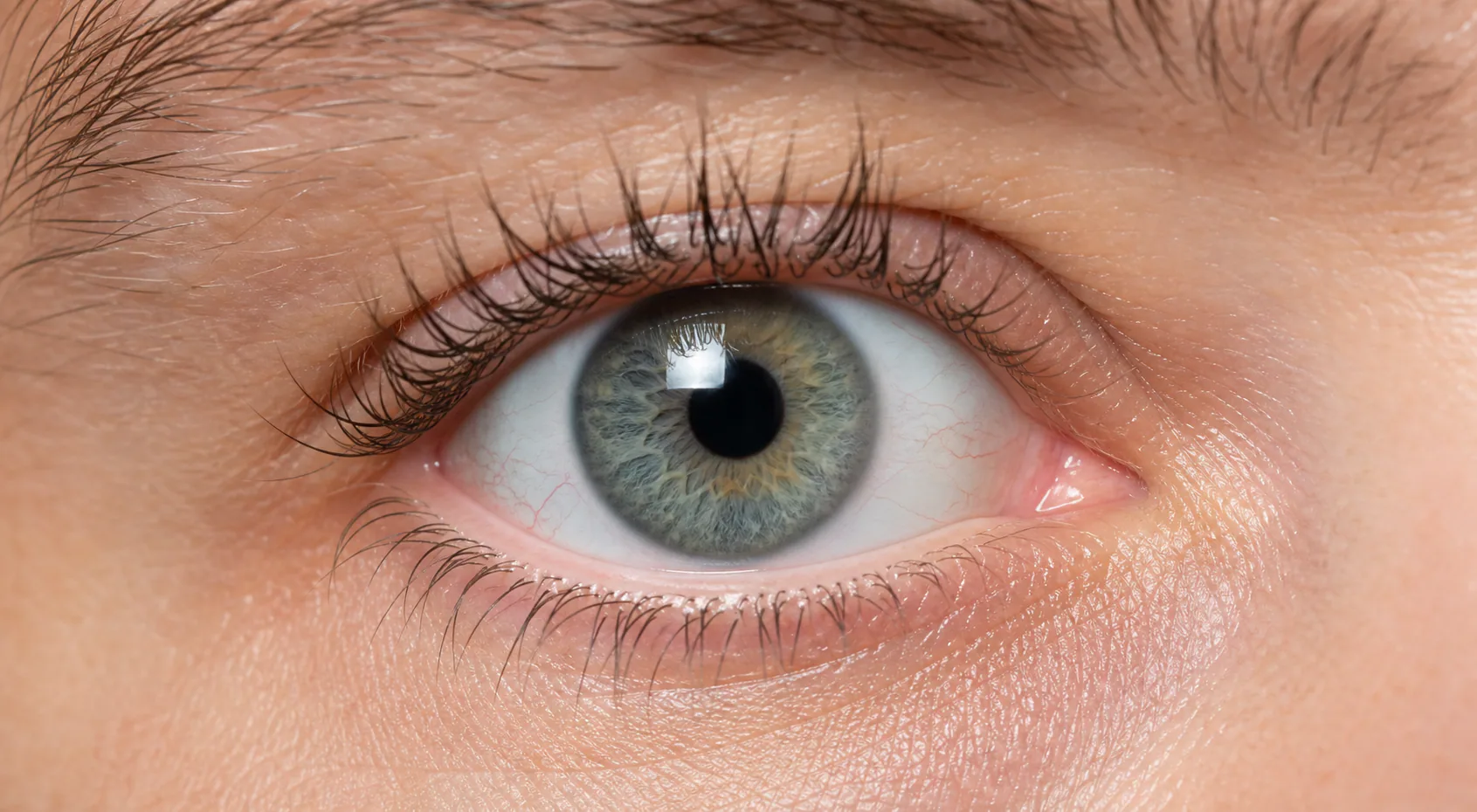 Bright sight Optics visual detail