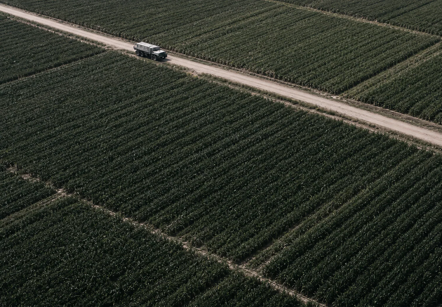 Aerial rows of crops divided into monitored field sectors
