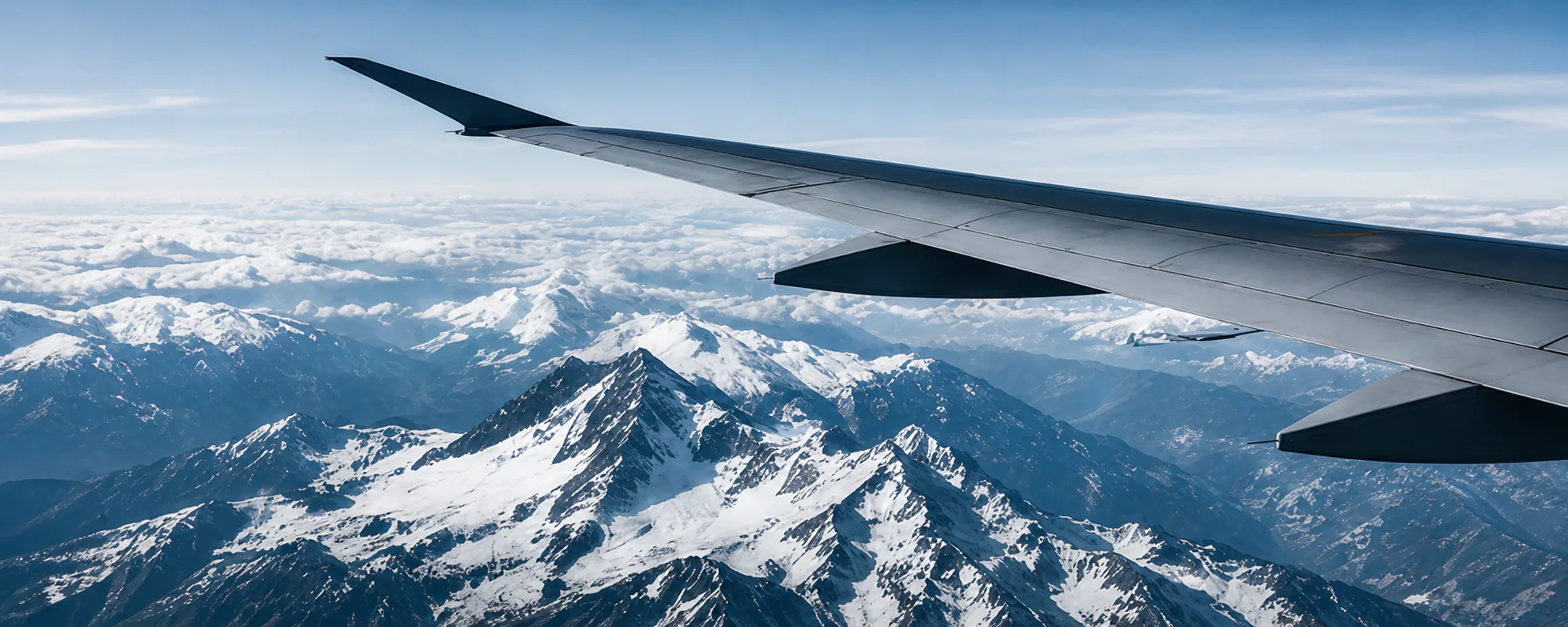 Red Eye Atlas Wing View