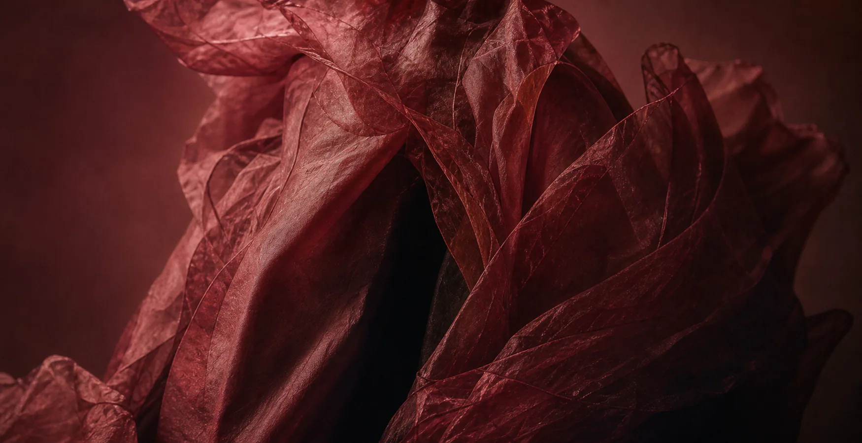 Close view of translucent burgundy fabric folded like a petal
