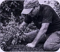Gardener tending plants in a designed landscape