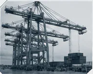 Cargo cranes working along a harbor