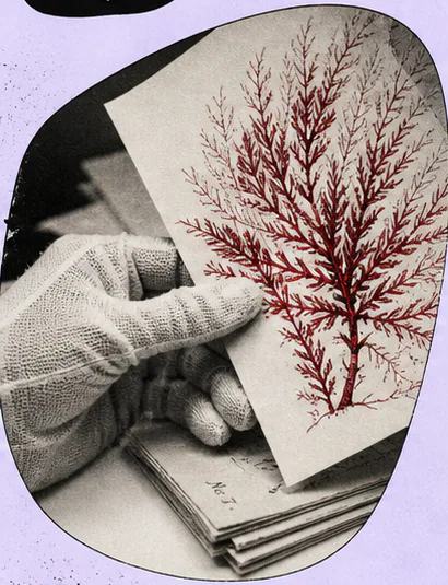 Paper time machine Collection visual detail